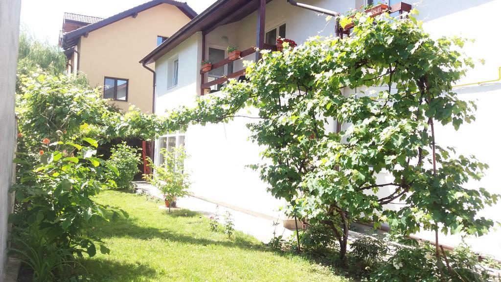 Casa Mais ブラショフ エクステリア 写真